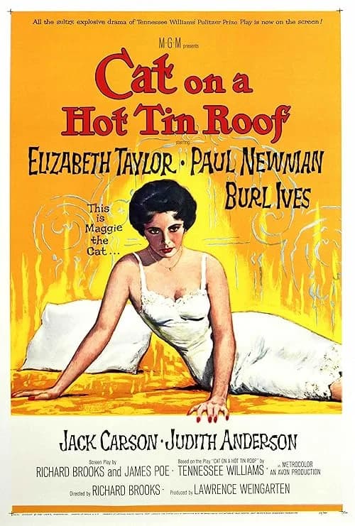 Cat on a Hot Tin Roof