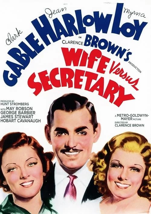 Wife vs. Secretary film posteri